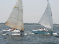 IMG 4139