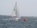 IMG 4149