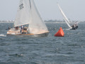 IMG 4155