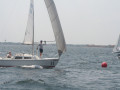 IMG 4161