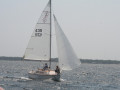 IMG 4162