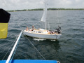 TDM 4731
