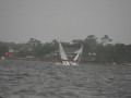 IMG 3425