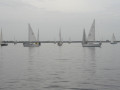 IMG 3426