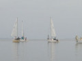IMG 3442