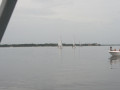 IMG 3443