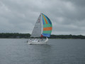 IMG 5011