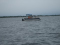 IMG 5017
