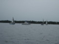 IMG 5021
