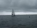 IMG 5030