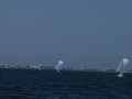 DSC 1030