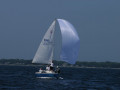 DSC 1033