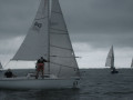 IMG 5035