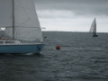 IMG 5036