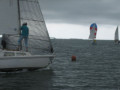 IMG 5038