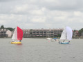 IMG 4610