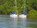 Chattahoochee Coup Too 050 1024
