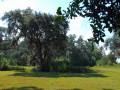 Chattahoochee Coup Too 087 1061