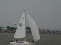 IMG 4779