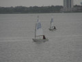 IMG 4781